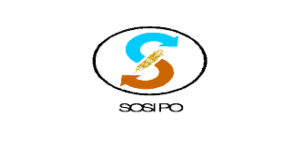Client Logo 11